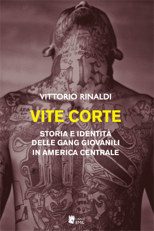 Vite corte